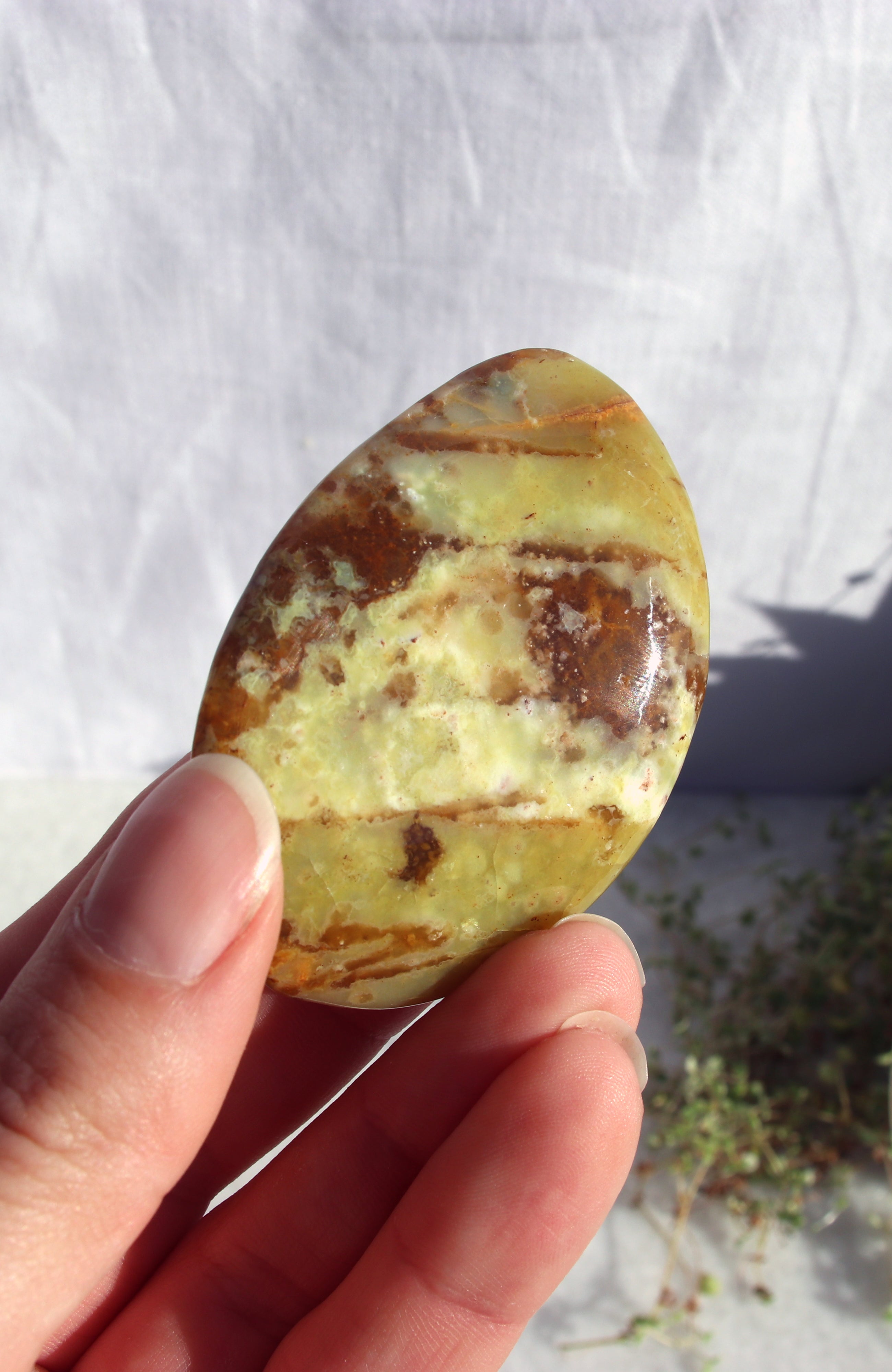Kiwi Opal Palmstone